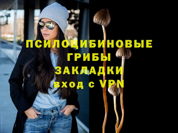 спиды Приозерск