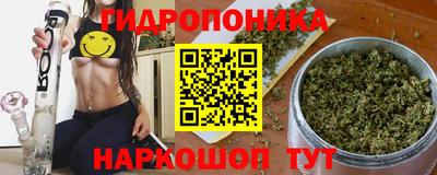 PSILOCYBIN Новокубанск