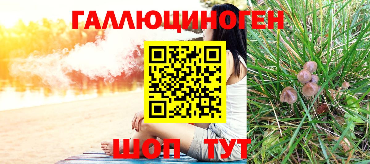 Галлюциногенные грибы Psilocybe  Вход с VPN  Шарыпово 