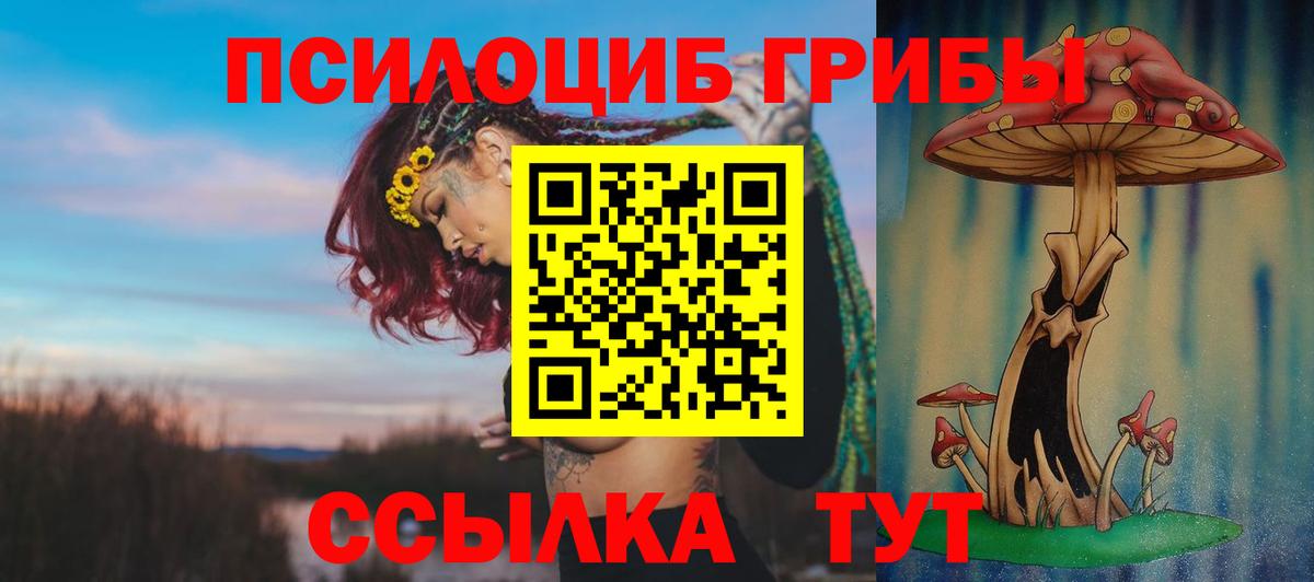 Псилоцибиновые грибы Psilocybine cubensis Шарыпово